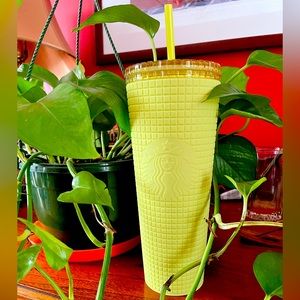 Starbucks Sunshine Meadow Yellow Grid 2023